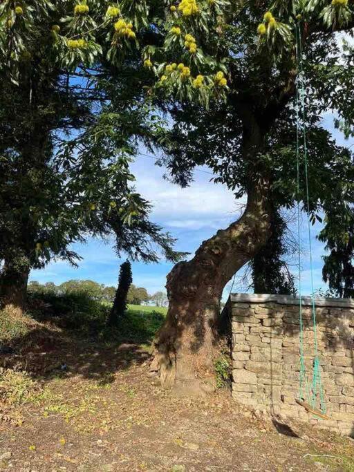Gite Du Dolmen Guiscriff Екстер'єр фото